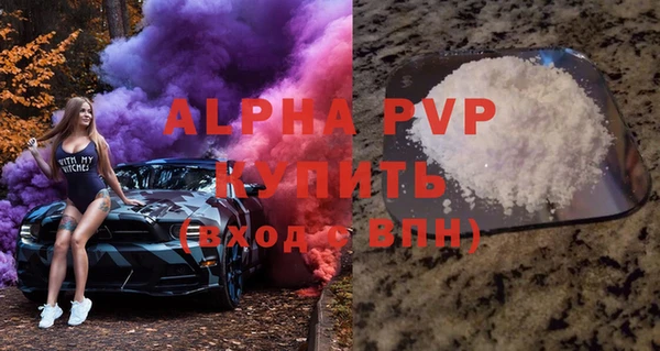 тгк Новозыбков