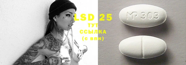 тгк Новозыбков