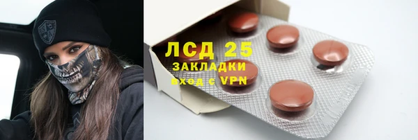 тгк Новозыбков