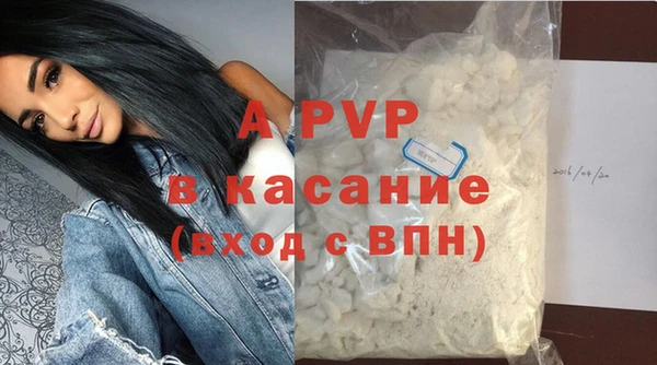 тгк Новозыбков
