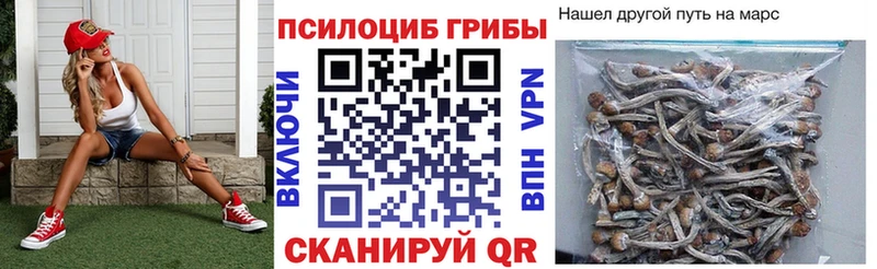 Псилоцибиновые грибы Psilocybe  мега ССЫЛКА  Артёмовск 